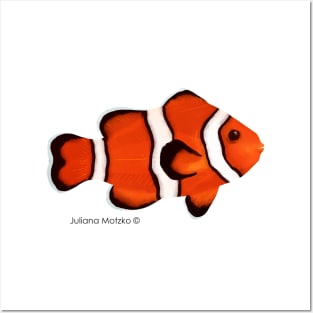 Clownfish Posters and Art